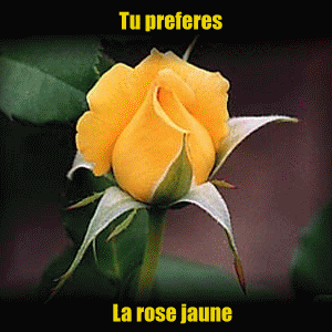 alors?